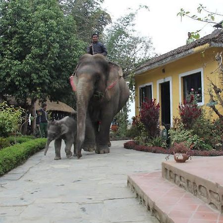 Hotel Sapana Village Lodge Chitwan Extérieur photo